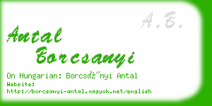 antal borcsanyi business card